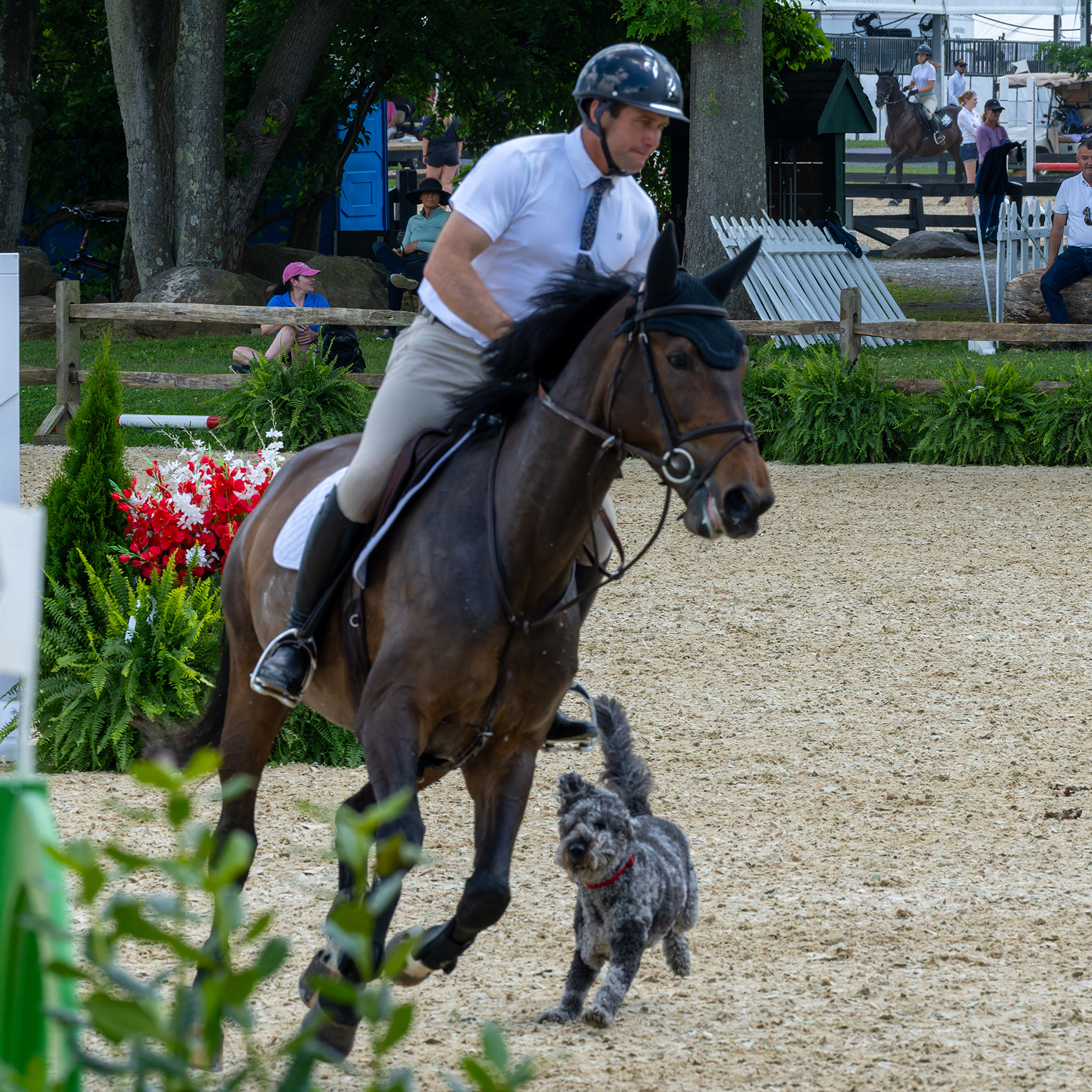 Upperville Colt & Horse Show 2024